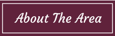 About the Area